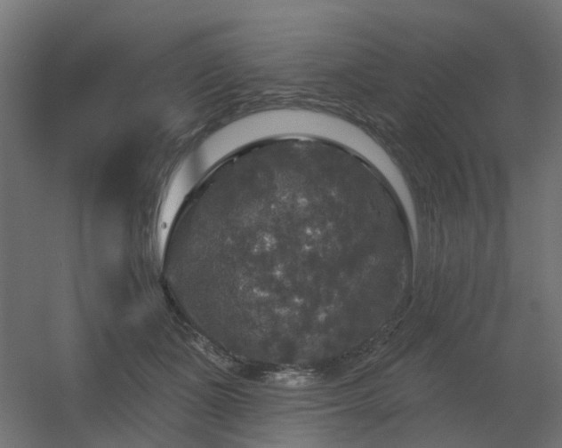 X0000056330511200509021633