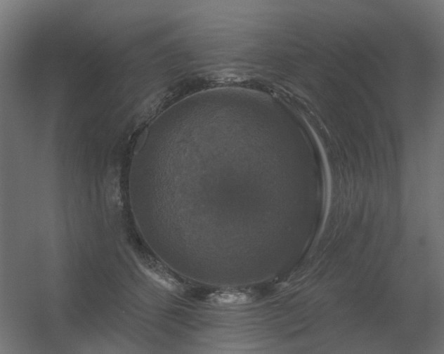 X0000056330512200509021633