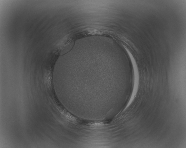 X0000056330513200509021633