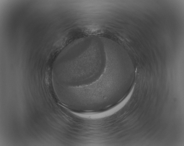 X0000056330515200509021633