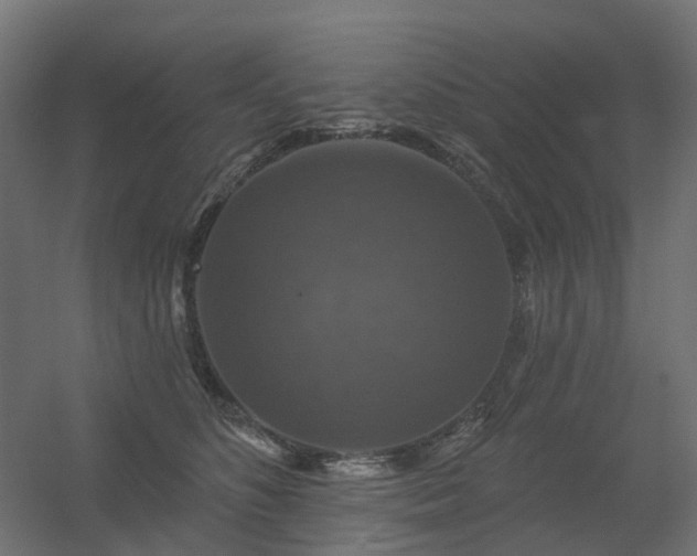 X0000056330516200509021633