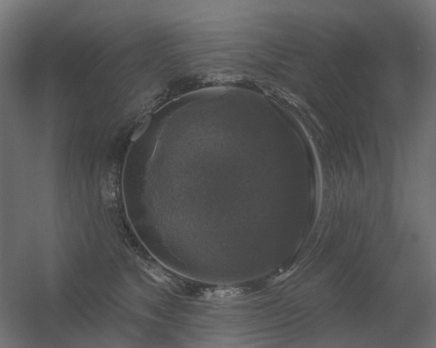 X0000056330517200509021633