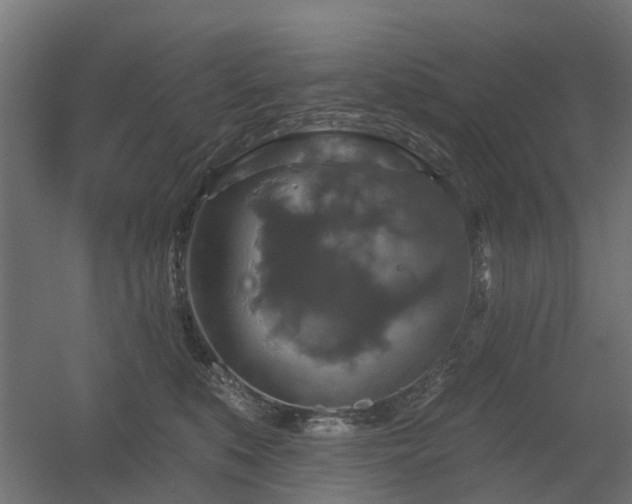 X0000056330519200509021633