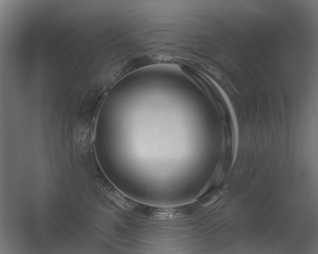 X0000056330521200509021633