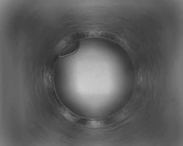 X0000056330522200509021633