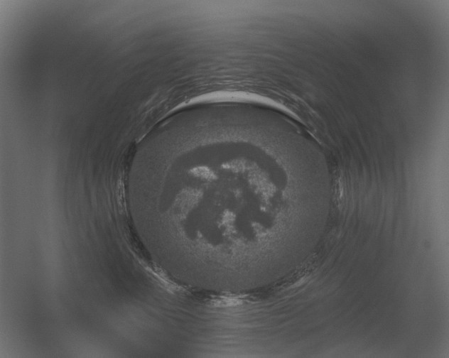 X0000056330523200509021633