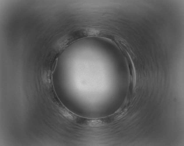 X0000056330525200509021632