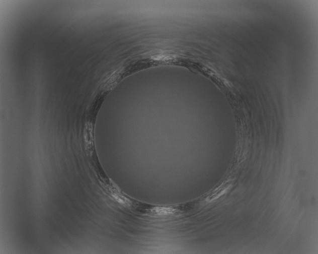 X0000056330528200509021632