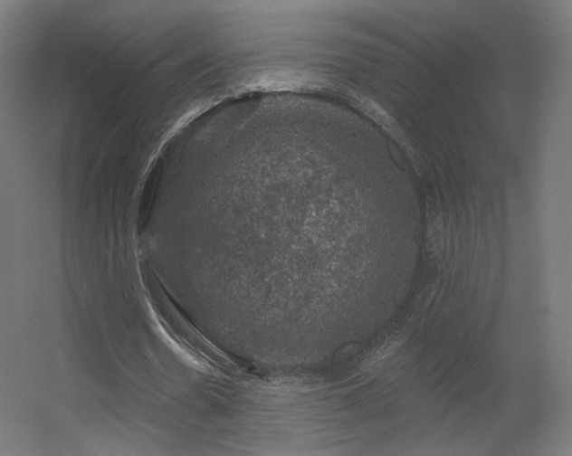 X0000056330530200509021632