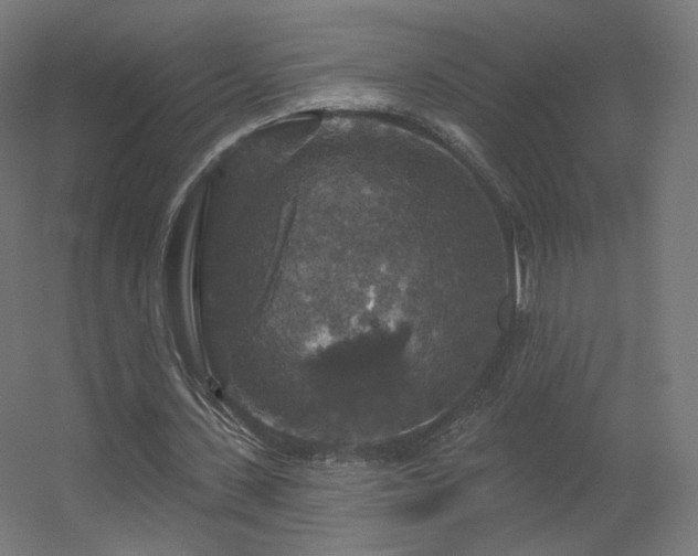 X0000056330531200509021632