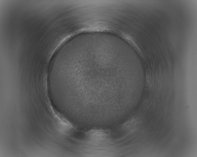 X0000056330534200509021632