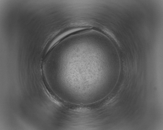 X0000056330537200509021632