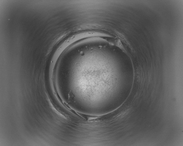 X0000056330538200509021632