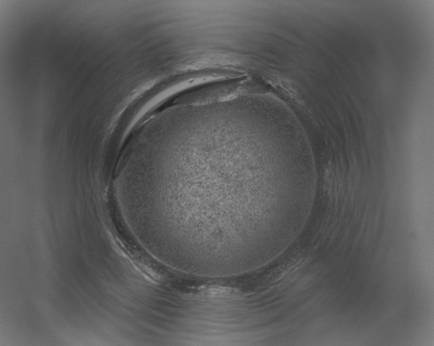 X0000056330539200509021632