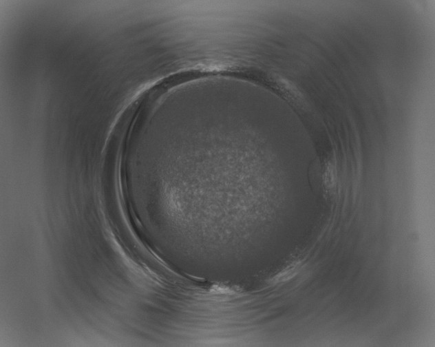 X0000056330540200509021632