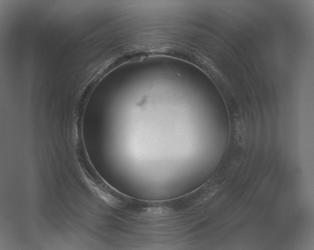 X0000056330541200509021632