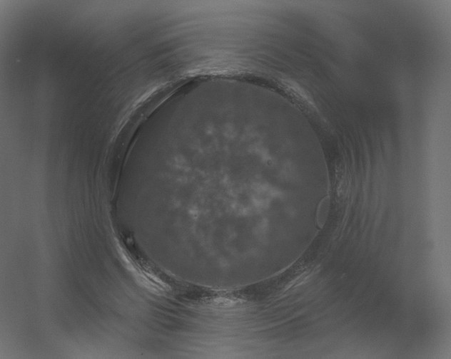 X0000056330542200509021632