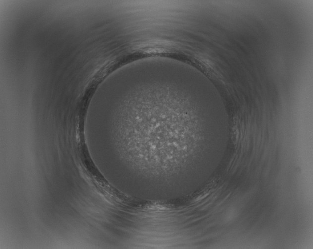 X0000056330547200509021632