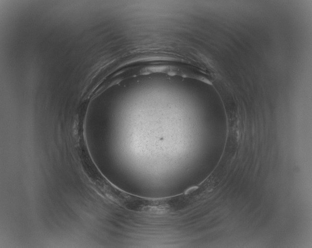 X0000056330548200509021632