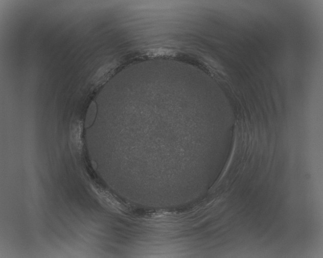 X0000056330550200509021632