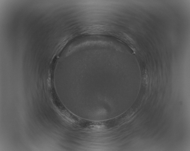 X0000056330552200509021632