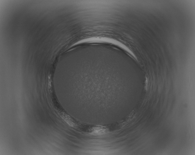 X0000056330555200509021632