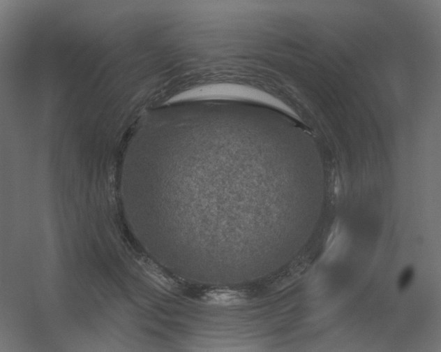 X0000056330557200509021632