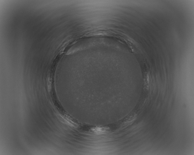 X0000056330558200509021632