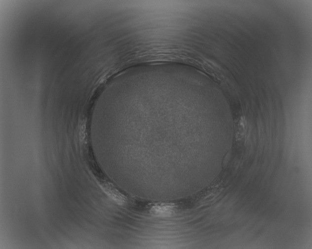 X0000056330560200509021632