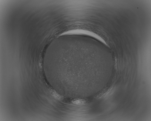 X0000056330561200509021632