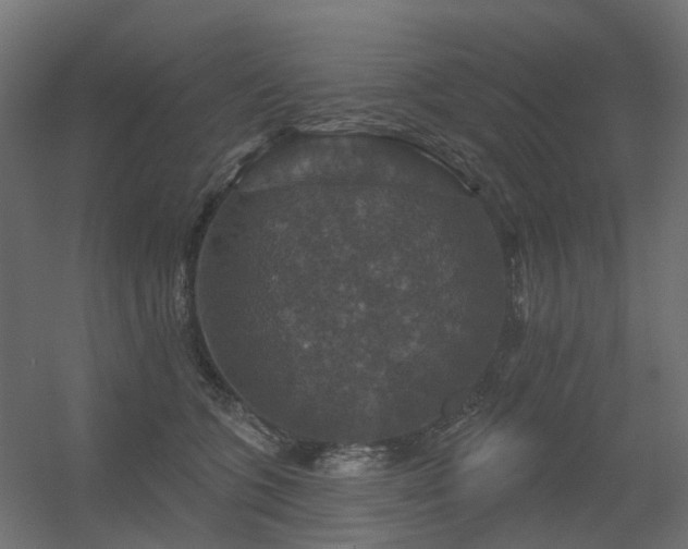 X0000056330563200509021632