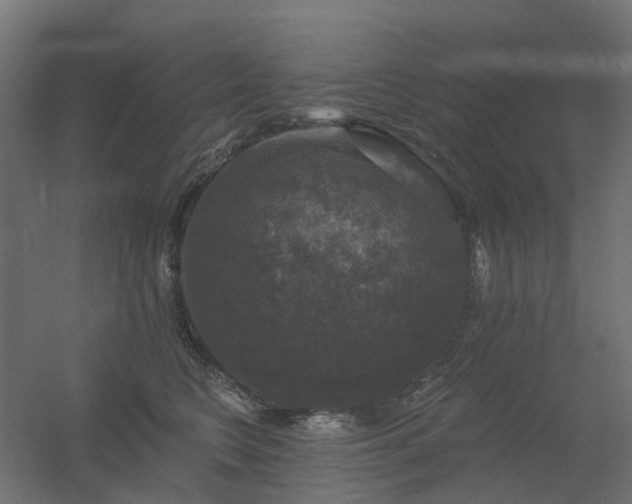 X0000056330566200509021632