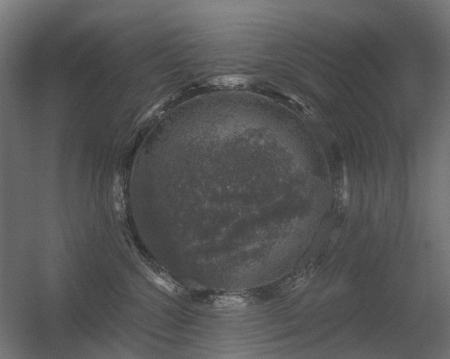 X0000056330572200509021632