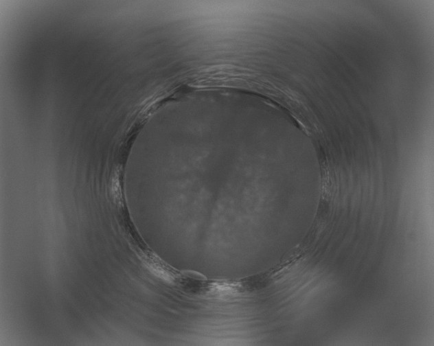 X0000056330573200509021632