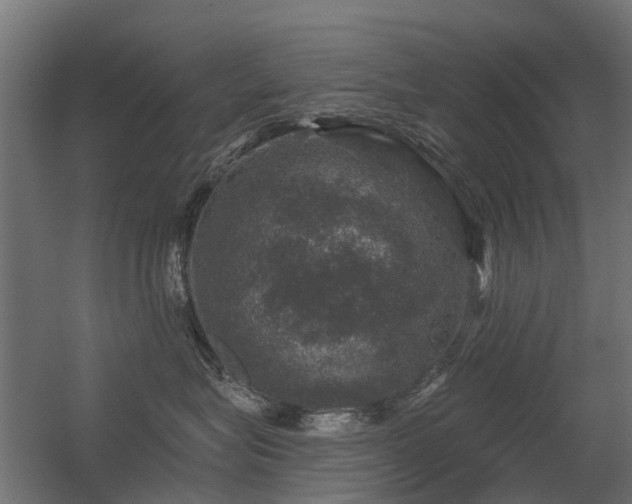 X0000056330575200509021632