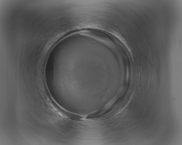 X0000056330577200509021632