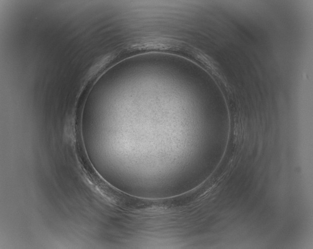 X0000056330578200509021632