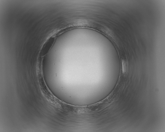 X0000056330579200509021632