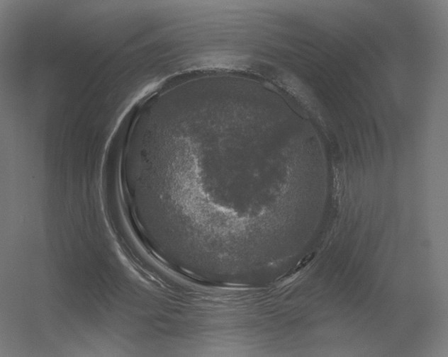 X0000056330580200509021632