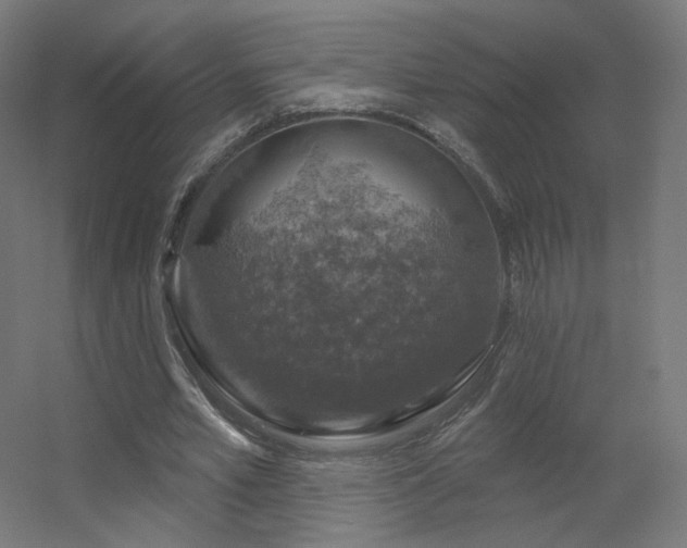 X0000056330581200509021632