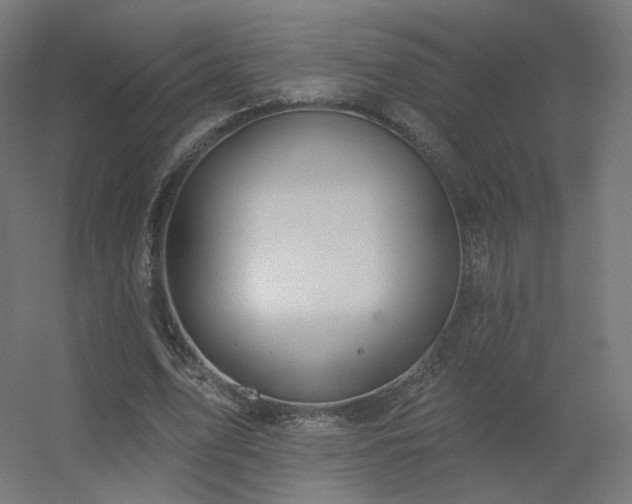 X0000056330583200509021631