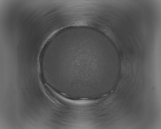 X0000056330584200509021631