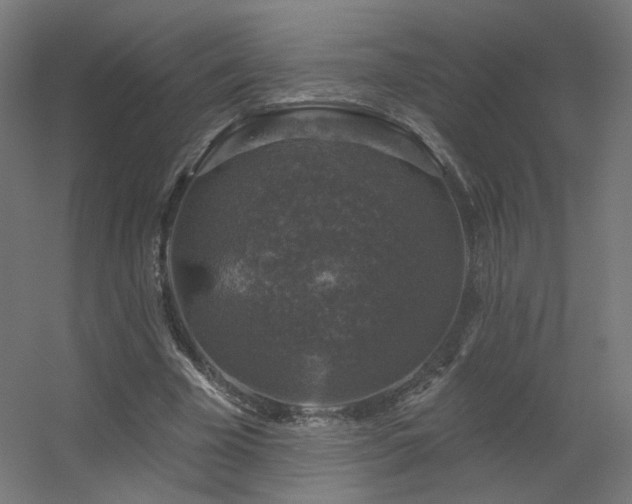 X0000056330585200509021631