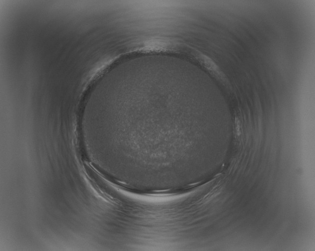 X0000056330588200509021631