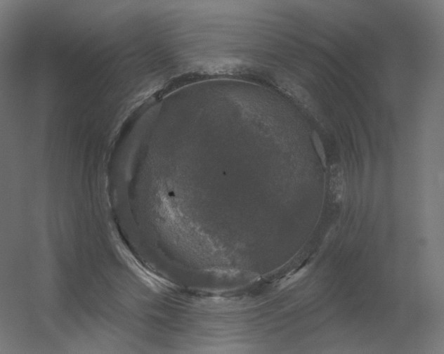 X0000056330589200509021631