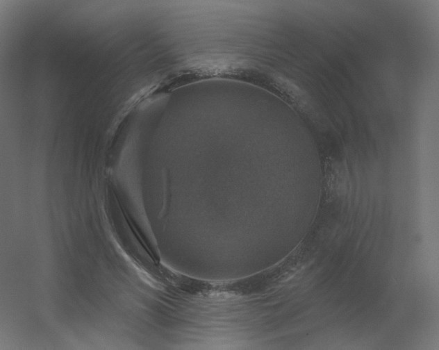 X0000056330590200509021631