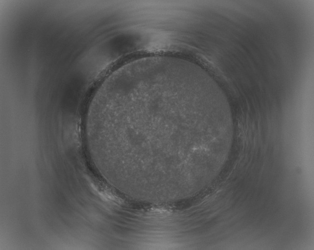 X0000056330592200509021631