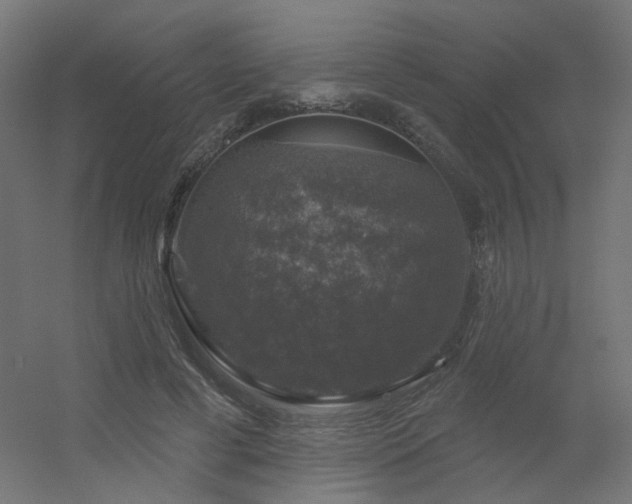 X0000056330593200509021631