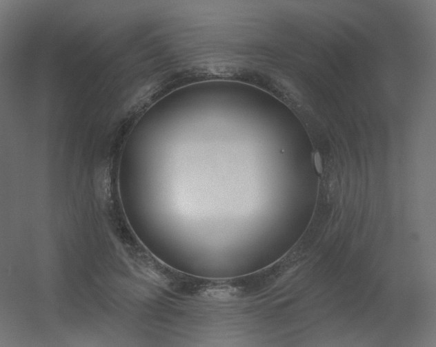 X0000056330595200509021631