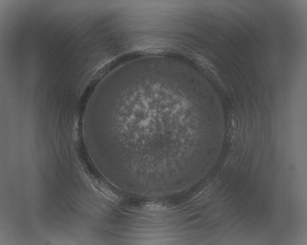 X0000056330596200509021631